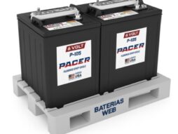 Pack 2 Baterías TROJANPACER T105 6V. 244Ah.