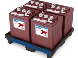 Pack 4 Baterías TROJAN T105